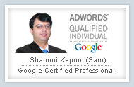 Certified by Google as Certified Google Adwords Professionals